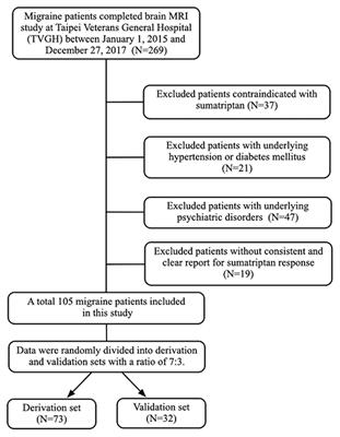 The Use of Neuroimaging for Predicting Sumatriptan Treatment Response in Patients With Migraine